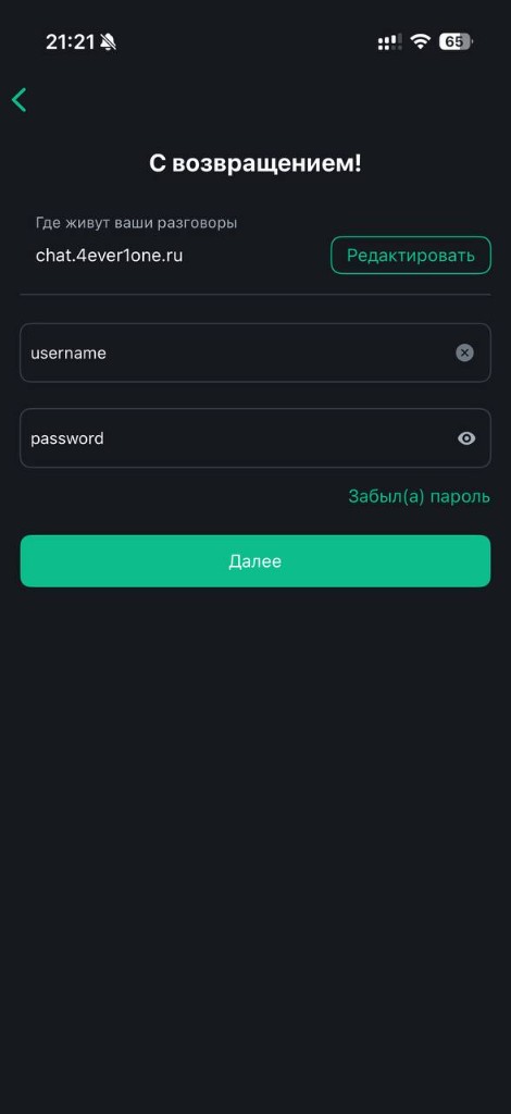 Экран входа на сервер chat.4ever1one.ru в Element Classic на iOS